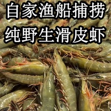 舟山野生滑皮虾东海条虾剑虾青壳鹰爪虾硬壳虾新鲜活冷冻跨境代发