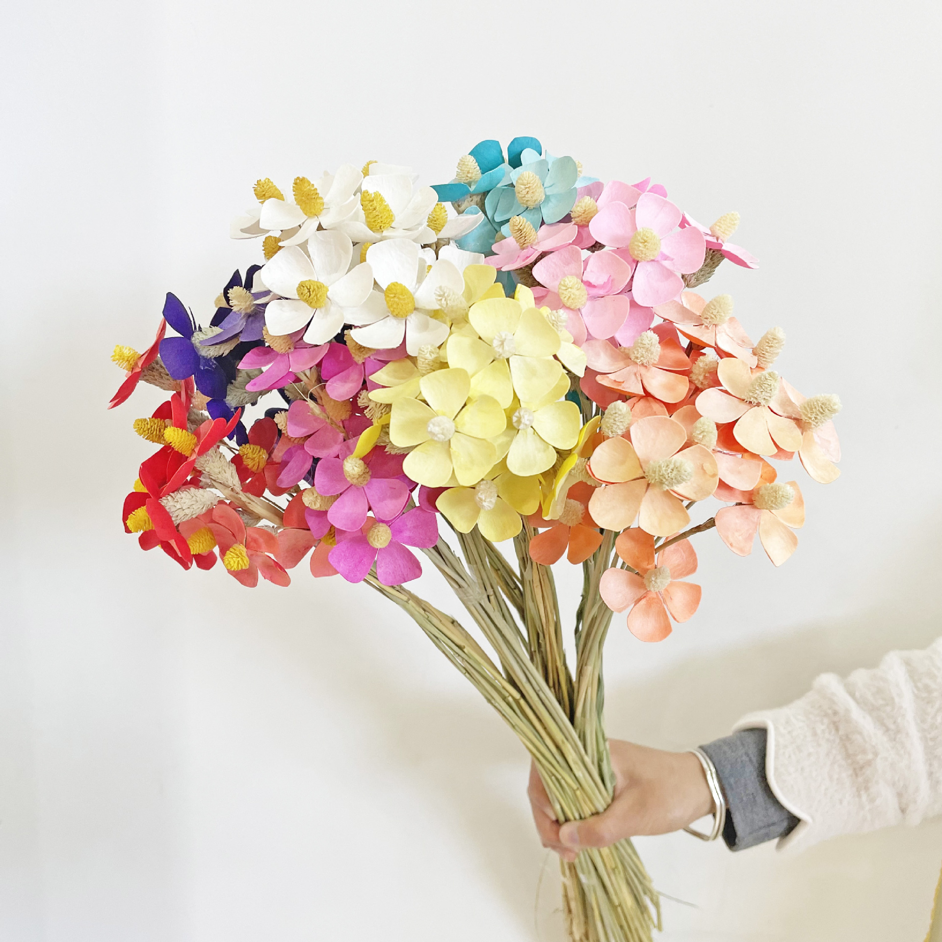 云南永生花苹果叶 真花圆叶桉美叶 尤加利叶居家装饰花束