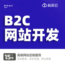 深圳B2C商城开发外贸网站建设企业独立站门户网站建设制作多少钱