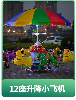 夜市创业摆摊儿童游乐设备12座旋转升降电动小飞机秋千飞鱼带伞