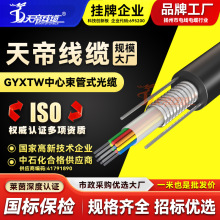 厂家天帝GYXTW室外铠装光缆线46812芯单模光纤中芯束管式通信监控