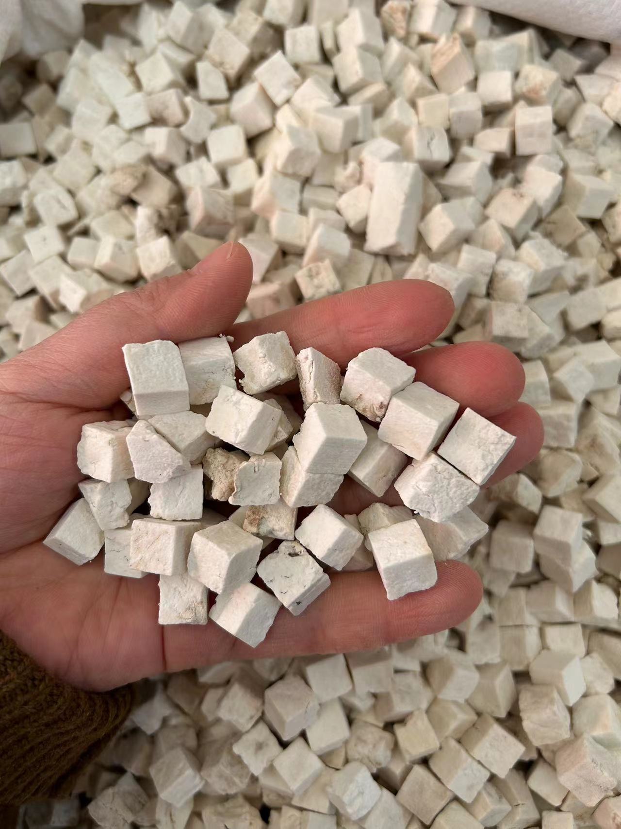 猪苓现货批发猪苓颗粒 猪苓片 猪苓个 规格齐全 实物拍摄 量大