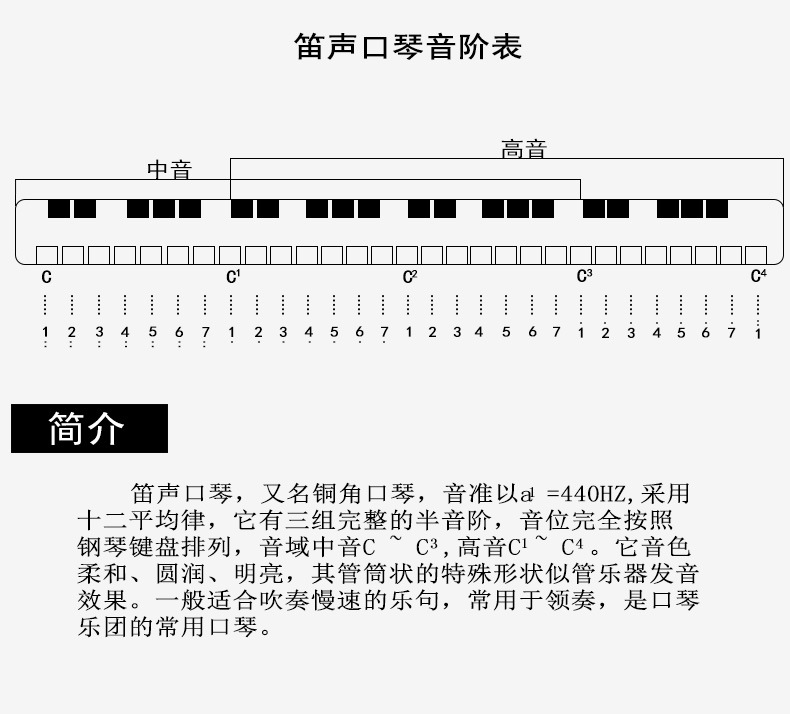 奇美24组双联和弦口琴中高音笛声专业乐队合演奏25孔旋律贝司口琴