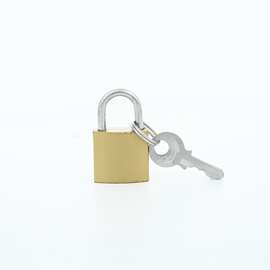 20mm仿铜挂锁笔记本锁信箱锁抽屉锁单开锁可做通开现代简约