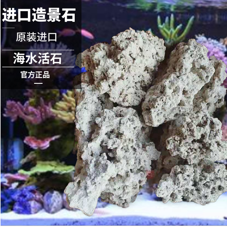 vastocean印尼爪哇岛干岩石海缸造景石代替活石人工开采死石培菌