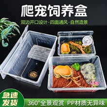 角蛙蜘蛛乌龟缸蜥蜴宠物用品蛇爬宠箱昆虫爬宠饲养盒守宫