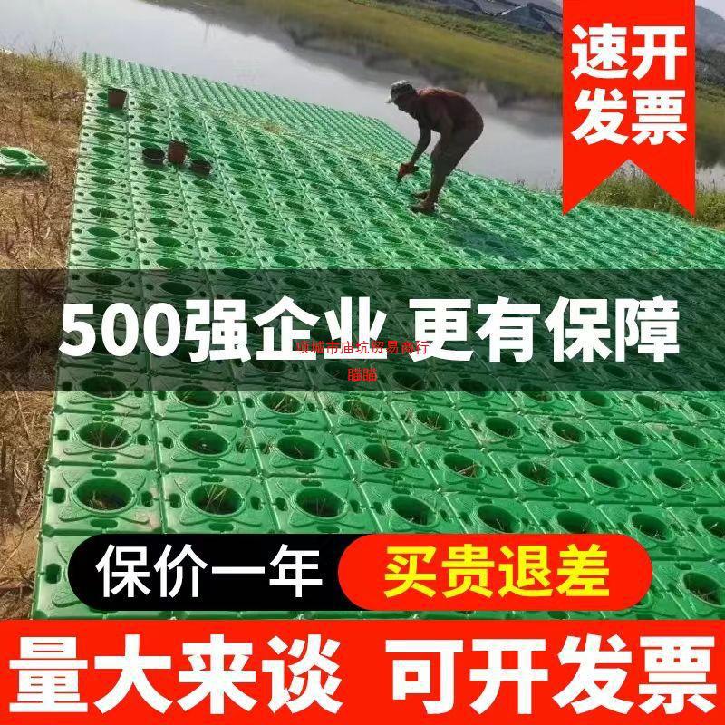 人工生态浮岛人工浮岛种植浮岛景观浮岛水上种植浮床无土栽培浮床