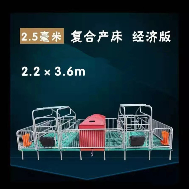 双体母猪产床价格 产保两用产床 单体母猪产床定做厂家