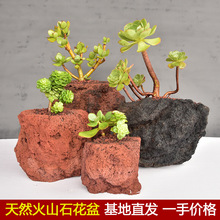 火山石花盆手工苔藓腾冲火山岩花卉兰花石斛园艺绿植通用个性