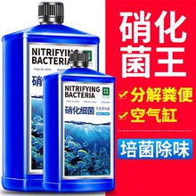 硝化细菌鱼缸用养鱼用品消化硝化水族净化水质稳定剂净水剂硝化菌