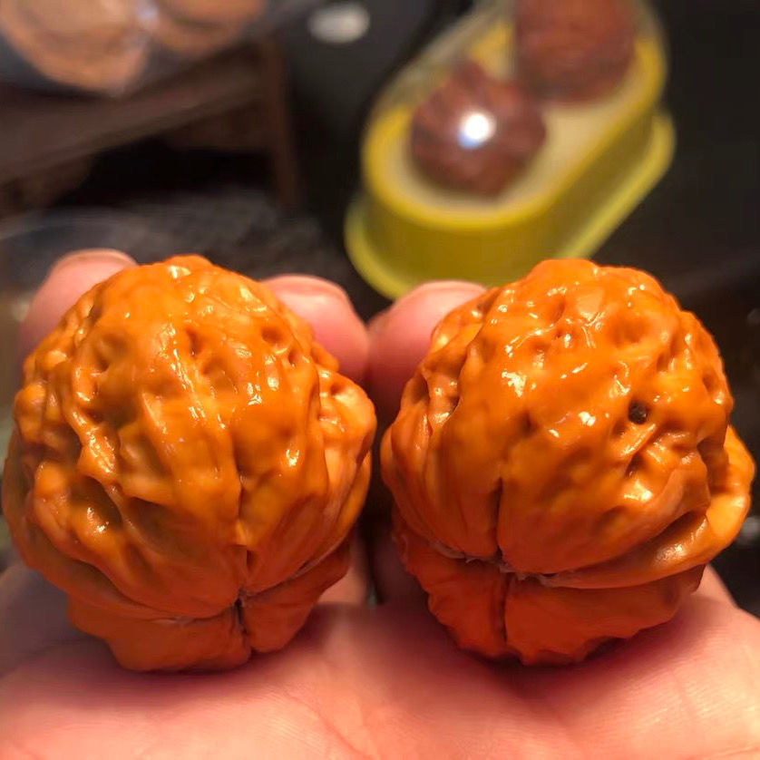 云南铁核桃蛤蟆头金蟾野生文玩核桃一对手盘收藏手把件云铁山核桃