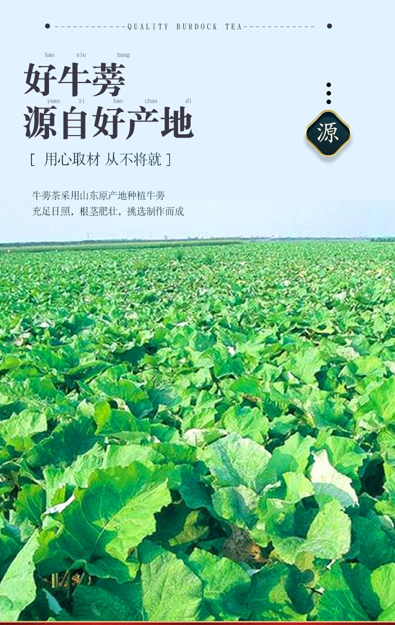 现货供应 蒡之道黄金牛蒡茶 礼盒装 牛蒡原产地 独立包装牛蒡茶