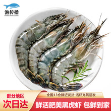 渔传播【活鲜】黑虎虾500g草虾大虾老虎虾充氧活发包鲜到家