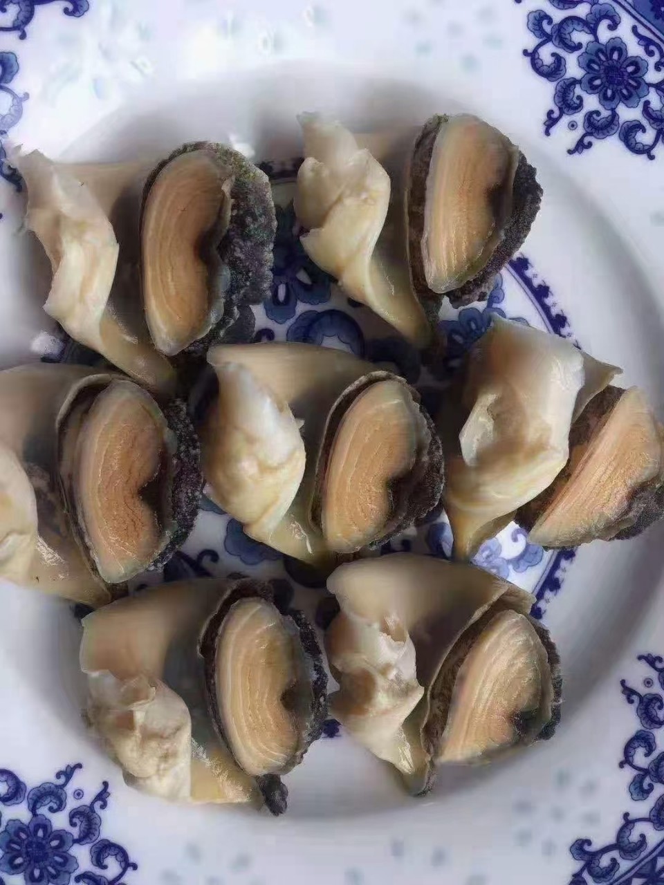 批发海螺肉熟冻即食海螺头贝壳海鲜捞汁食材商用