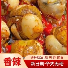 活珠子鸡蛋香辣味五香味真空即食鸡胚蛋红皮无毛熟13天钢化蛋