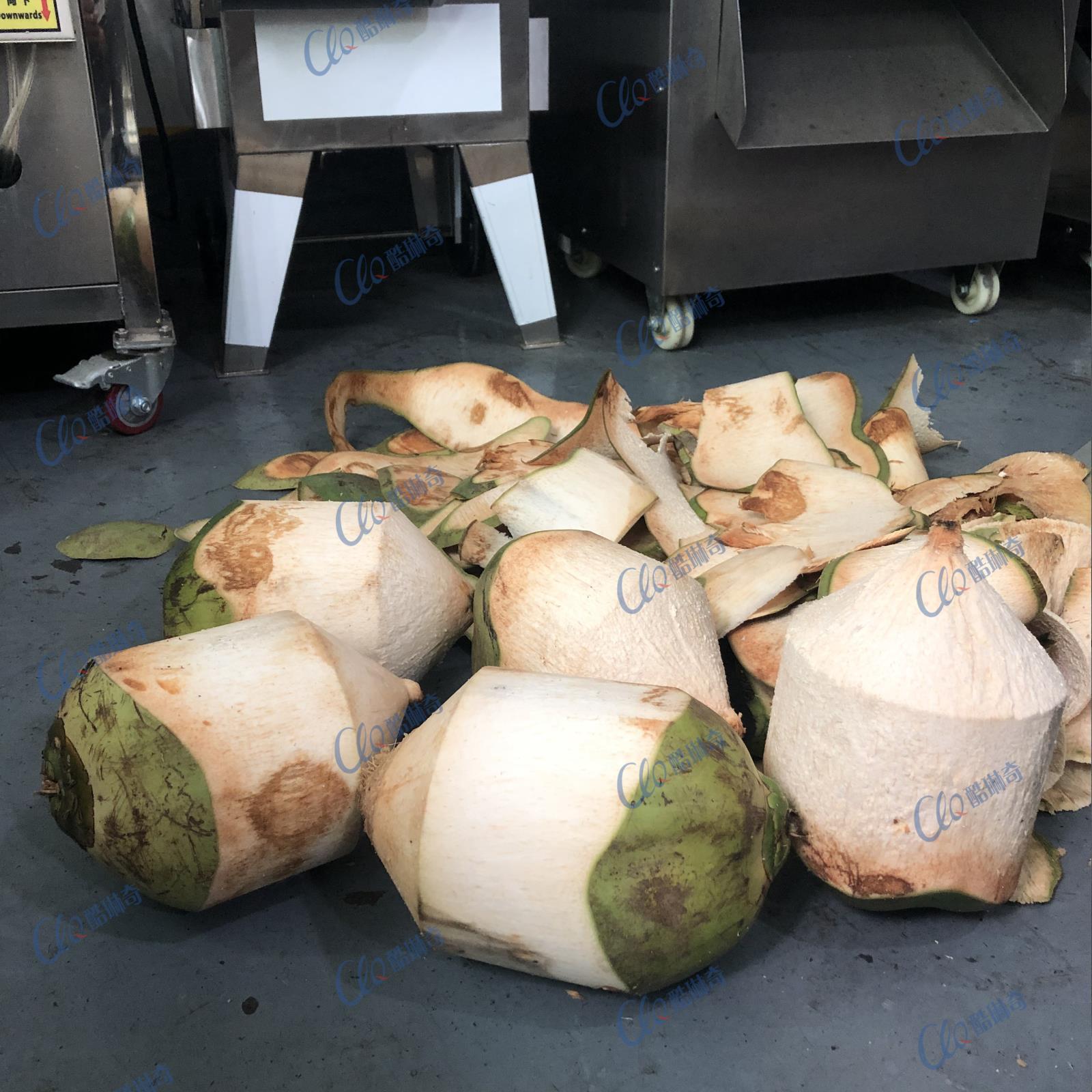 亚洲椰果厂伽工椰子削皮机 台湾椰子去皮机菲律宾青椰快速刮皮机