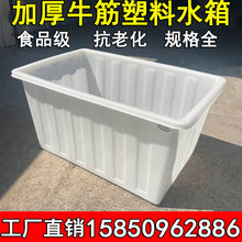 ALJ6塑料水箱长方形牛筋加厚大号浅盆周转箱纺织箱养鱼养龟水产养