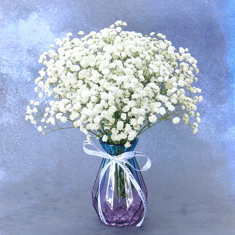 粉色白色满天星干花花束带花瓶真花鲜花风干家居装饰客厅摆件摆舍