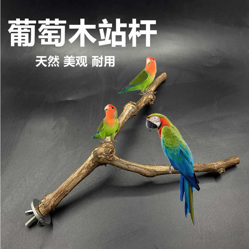 鹦鹉站架葡萄木树枝鸟站棍葡萄木磨爪棒鸟用品用具鸟玩具鹦鹉玩具