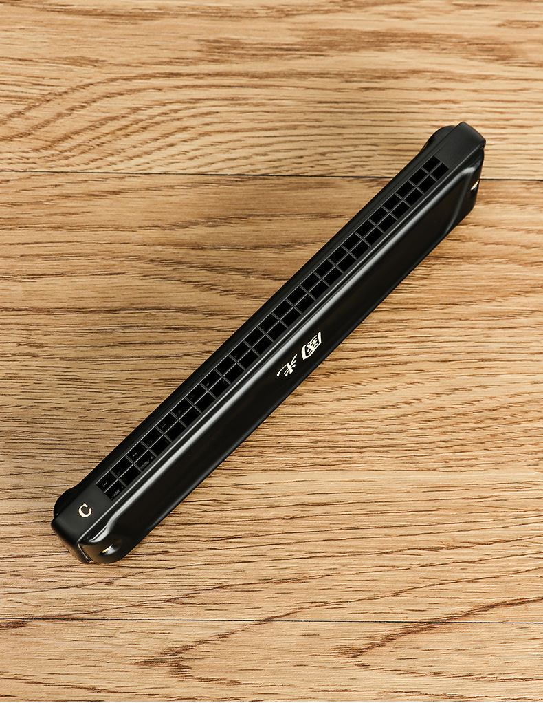 国光口琴24孔国之梦演奏级口琴复音c调 f调 a调 d调 b调 28孔重音