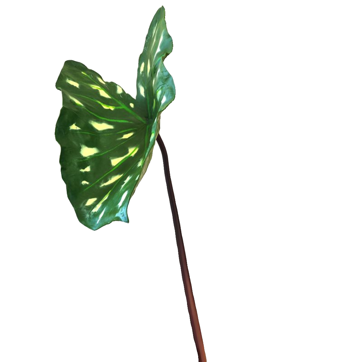 海外订单网红高仿真热带观叶植物叶片ins风室内造景海芋白锦龟背