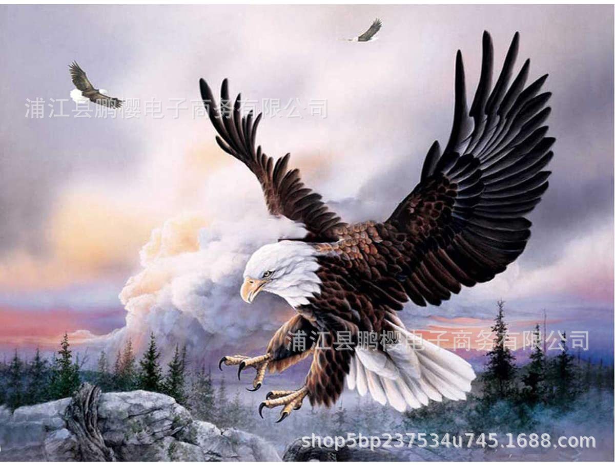 跨境diy亚马逊新款5d钻石画满钻老鹰装饰画十字绣油画厂家直销
