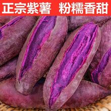紫薯新鲜沙地紫薯番薯粉糯香甜板栗红薯地瓜蜜薯蔬菜批发亚马逊