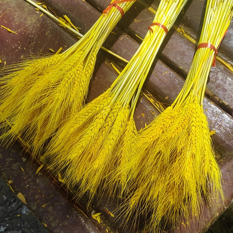 简装品种干麦穗类型花束产品编号001加工定制是工艺手工制作货号麦穗