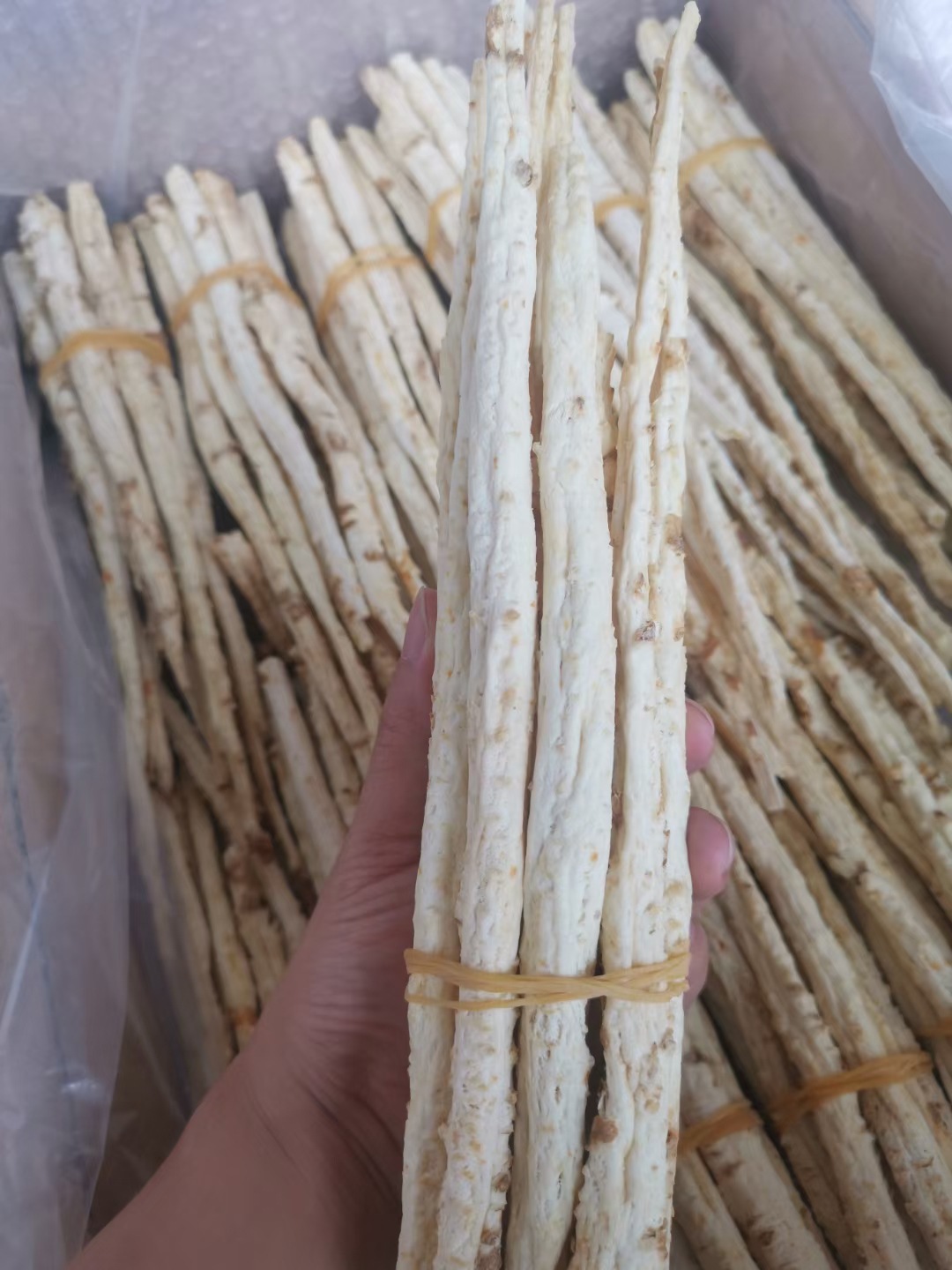 北沙参条内蒙古赤峰整根沙参北沙参 玉竹煲汤料产地批发-阿里巴巴