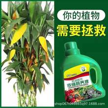 植物通用营养液 通用型花肥料盆栽巴西木绿萝多肉花卉液体有机肥
