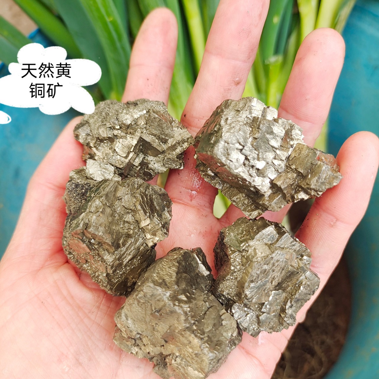 供应天然黄铜矿原石黄铁矿 矿物晶 观赏石教学标本 水晶原石