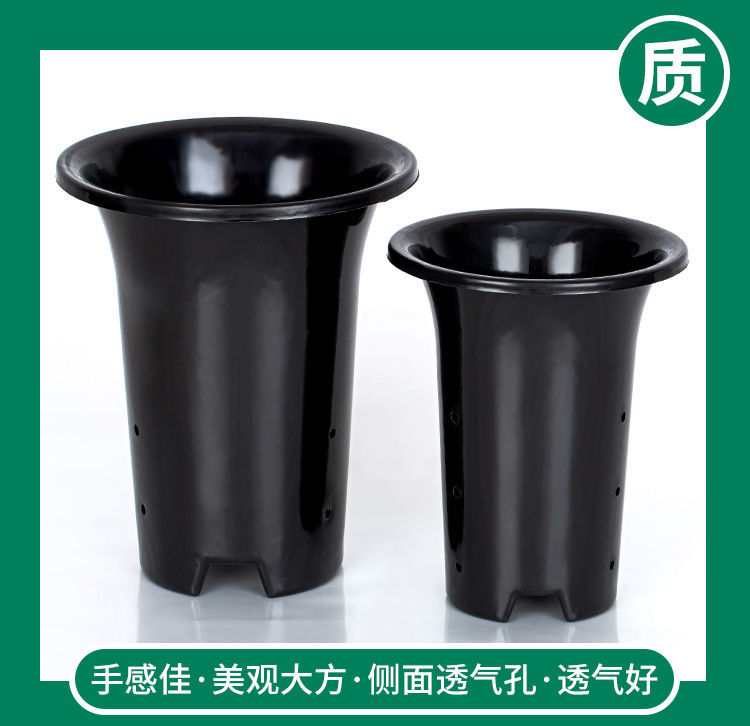兰花专用盆塑料兰花盆批发加高花盆加厚兰花花盆兰草盆大号