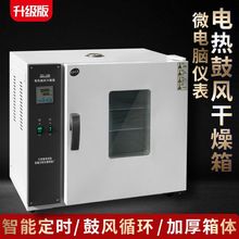 鼓风干燥箱模具烘箱实验室商用工业烤箱高温烘干机培养箱电热恒温