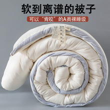 a类大豆纤维被水洗棉保暖冬被春秋被子学生棉被冬季礼品被芯批发