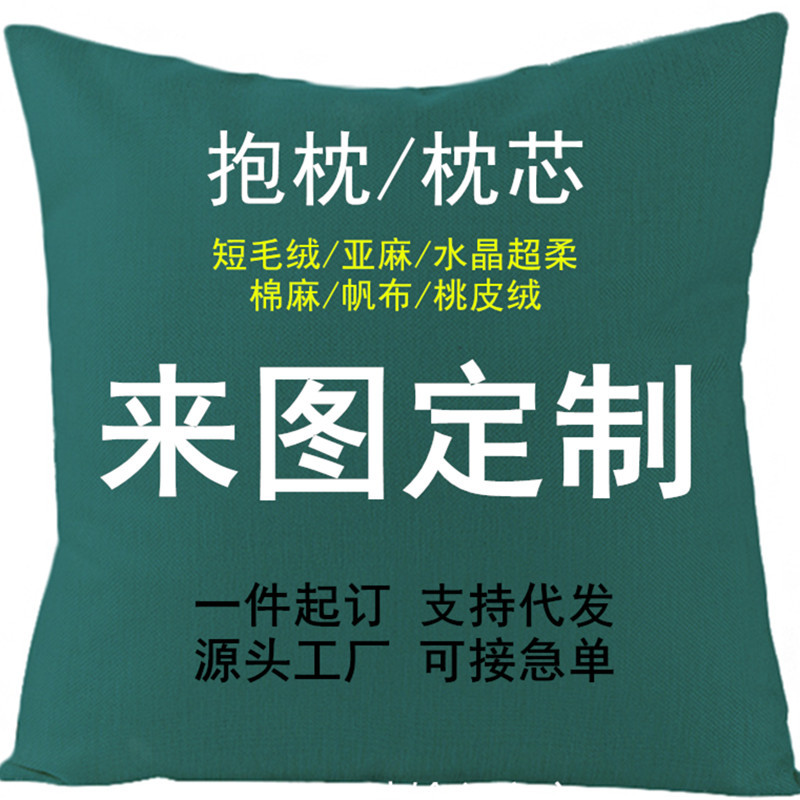 Pillow Custom Logo Amazon Pillow Sofa Cushion Short Plush Pillow Cover Multifunctional Dual-Use Pillow Quilt