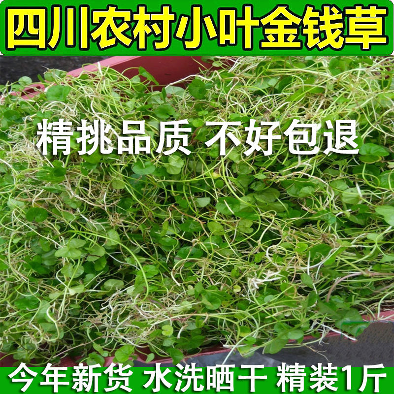 金钱草四川野生小叶金钱草茶干金钱草材马蹄金500g1袋包邮-阿里巴巴