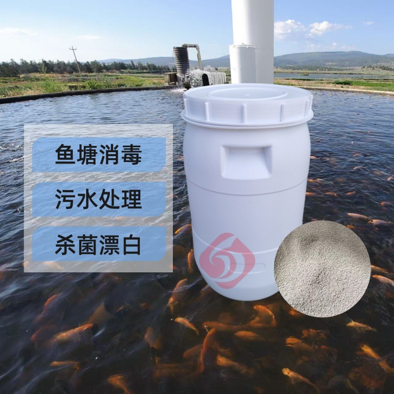 供应次氯酸钙漂粉精 杀菌灭藻剂 污水处理