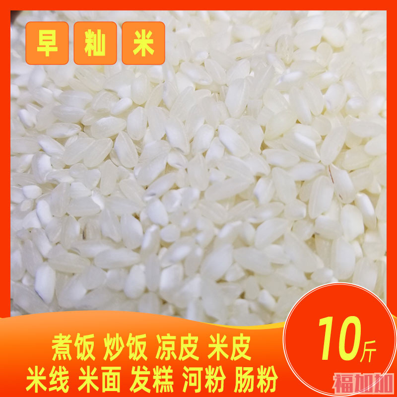 早稻米5kg 10斤早籼米不抛光煮粥炒饭正宗农家大米早籼米-阿里巴巴