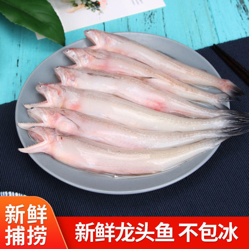 豆腐鱼新鲜九肚鱼龙头鱼鲜活冷冻包邮丝丁鱼水潺舟山海鲜水产批发