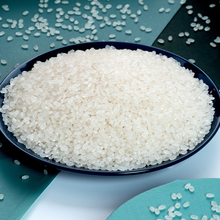 包邮元宝牌珍珠米粳米25kg袋装农家江苏大米50斤香甜新鲜正品促销