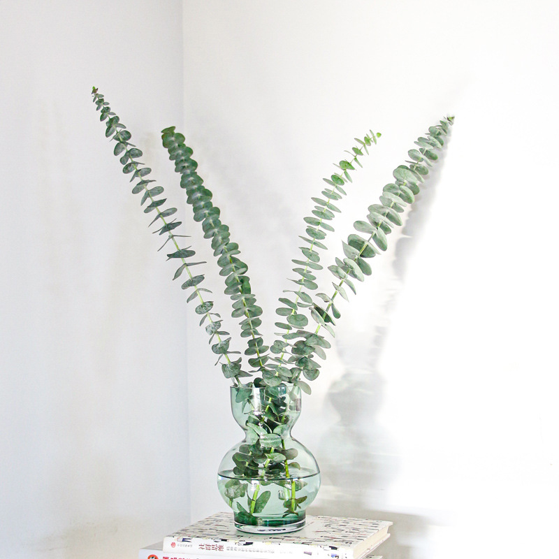 云南直发新鲜圆细叶尤加利叶大束雪柳鲜切枝家用水养插花室内干花