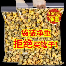 菊花茶胎菊杭白菊桐乡胎菊王头茬采摘500g养生茶叶正宗非特级正品