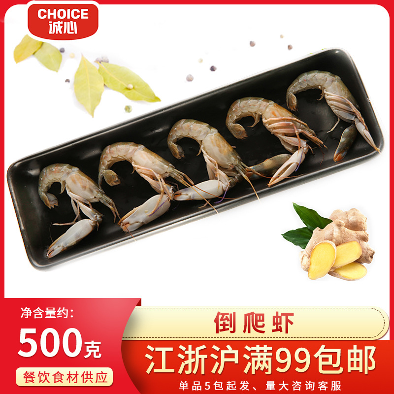 倒爬虾海虾小龙虾鲜活海鲜水产冷冻虾鲜虾新鲜海捕速珊瑚虾鼓虾