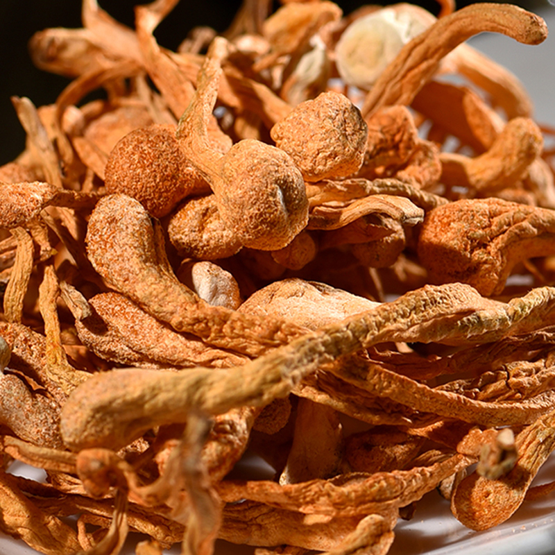 虫草花干货500g灰树花北金蛹虫草金虫草菇特产孢子头煲汤料菌子