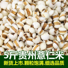 贵州薏仁米薏米仁新货贵州大薏仁米可搭配赤豆红豆五谷杂粮粗粮油