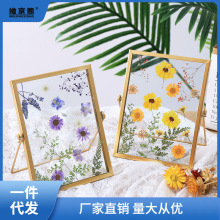 创意手工diy干花压花植物标本北欧简约4寸6寸7寸金属玻璃相框画框