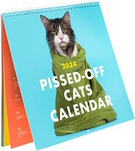 跨境新品爆款2024 Pissed-Off Cats Calendar2024 年生气的猫日历