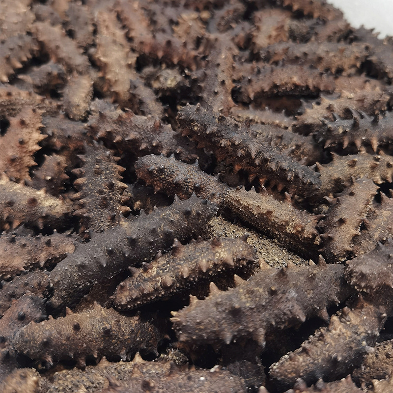 新货大连干海参辽参刺参500克 大连冻干海参干货批发