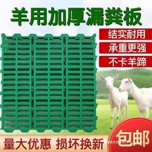 羊床漏粪板羊舍加厚塑料接粪板羊圈养羊产床漏粪板养殖场设备