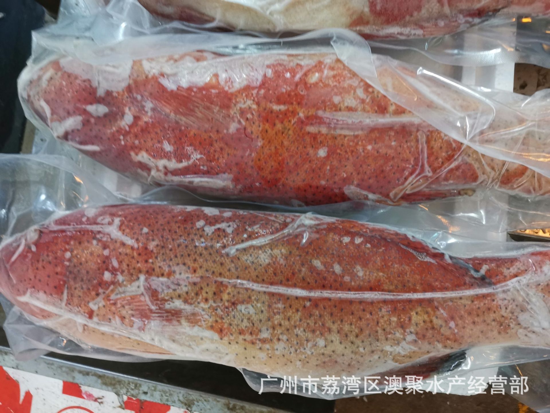 生冻鲜"东星斑" 超低温活冻鱼类 酒楼餐厅宴席食材批发1~4斤/条